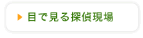 目で見る探偵現場