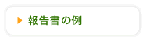 報告書の例