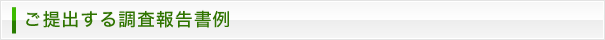 ご提出する調査報告書例